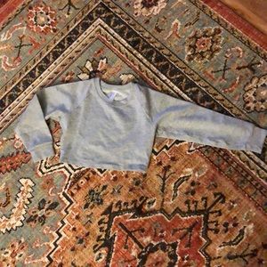 American Apparel cropped stretchy Sweater